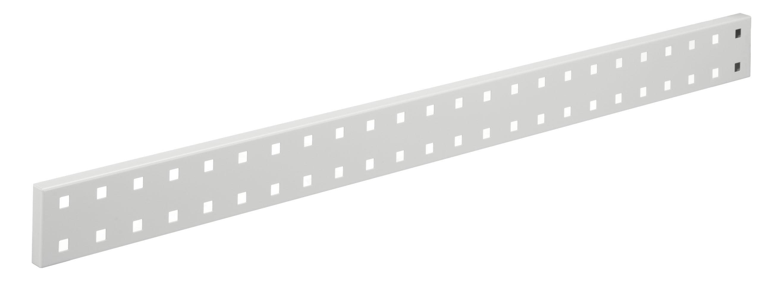 Wand Raster ®RasterPlan Wandschiene Lochplatte L 920 x H 70 mm RAL 7035 ...